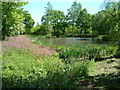 Lake near Hatch Farm, Thorndon Country Park, Brentwood