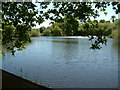 The Lake, Thorndon Country Park, Brentwood