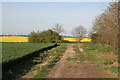 Farm track near Anwick