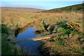 Sleddale Beck