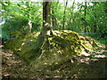 Tree Marking junction of the paths