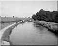 SJ6832 : Shropshire Union Canal, Tyrley by Dr Neil Clifton