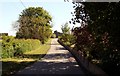 Road to Foulton Hall at Little Oakley