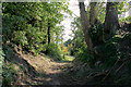 Footpath past Ashden House