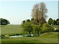 Silkstone Golf Course Pond