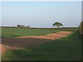 Arable land near Gare