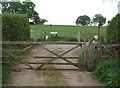 Footpath at Dunbridge leading to Hatt Hill