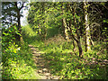 Bridleway near Pugs Hole Farm