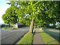 Ridgeway Park, Newport