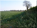 View over arable land