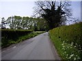 View down Annions Lane