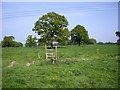 Stiles on footpath to Wybunbury