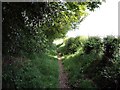 Footpath into Wybunbury