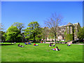 Undergraduates studying on the lawn. King