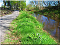 Deeside Way near Nether Park