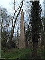 SY8096 : Obelisk at Weatherby Castle by David Squire