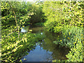 The River Wylye at Brixton Deverill