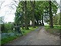 The Road to Farlam Ghyll