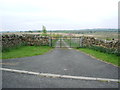 Gate and Road to Holly Rigg