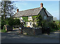 ST6029 : Holly Cottage - North Barrow by Mike Searle