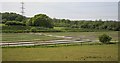 Empool Bottom and Watercress Beds