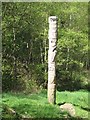 Woodcarving in Blairadam Forest