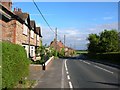 Farms on Elvington Lane