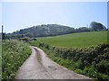 Lane into Whitchurch Canonicorum