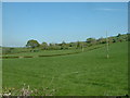 Farmland near Lower Trefeen