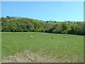 Farmland at Upper Trefeen