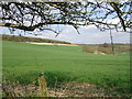 TR0149 : View east from Challock Manor/Church Cottages by David Elvin