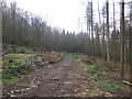 Logging track in Jeremy