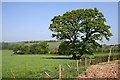 Looking north from Penscombe Cross