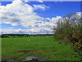 NY4669 : High Dubwath Farmland by wfmillar