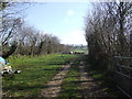 View east from Furley Cross