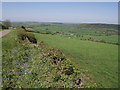 View west of Liddaton Down