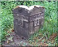 Old stone milepost on the A35