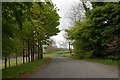 The old Belfast road near Seaforde