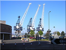 NT2776 : Three Cranes at Leith Docks by Sandy Gemmill