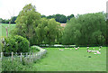 Fields, Bridleway and Pool, near Oldington, Shropshire