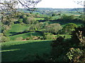 Looking towards Ball Hill