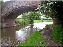SJ5782 : Bridge on the Bridgewater Canal by Andy Beecroft