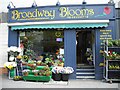 Broadway Blooms, Larne