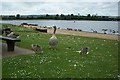 Strathclyde Country Park.