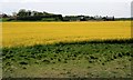 High Newton Farm From the Coast Path