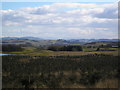 New sitka planting and farmland beyond