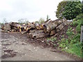 Lots of logs