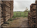 Footpath through a timber yard