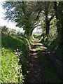 Lamerton Footpath 9