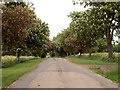 The driveway to The Lodge